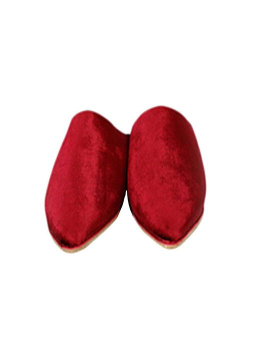 Velvet Moroccan Slippers